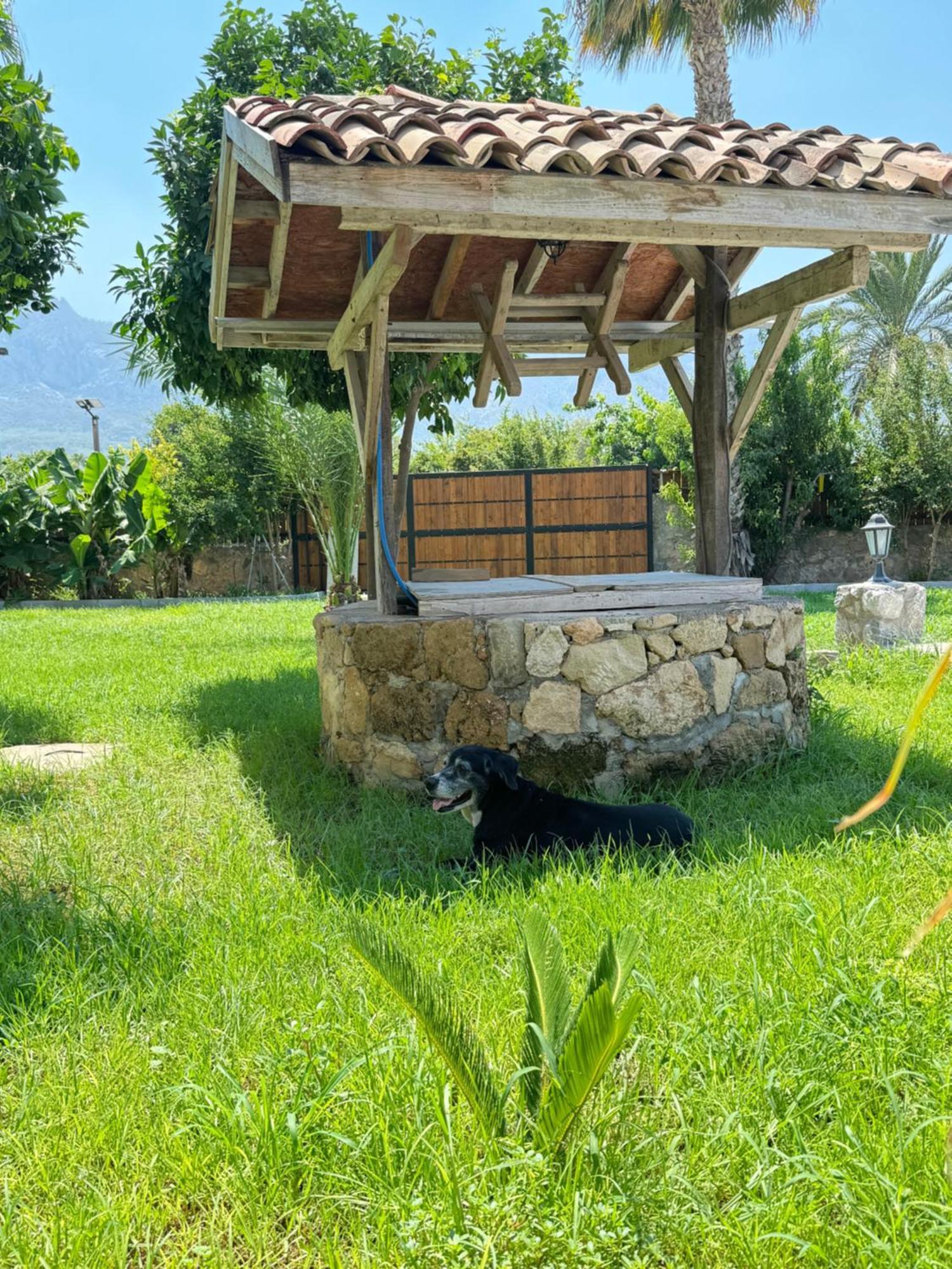 The Horse Farm Hotel Agios Georgios  Екстериор снимка