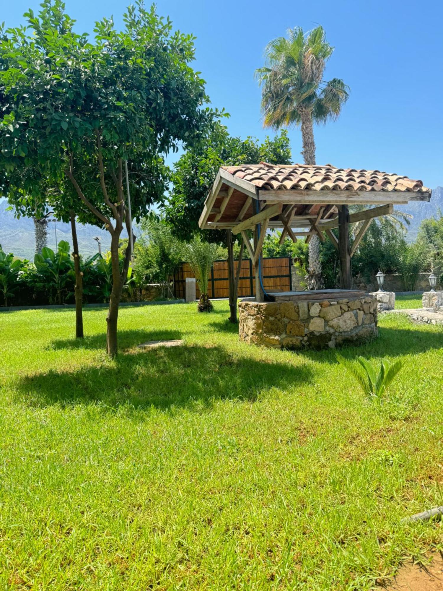 The Horse Farm Hotel Agios Georgios  Екстериор снимка