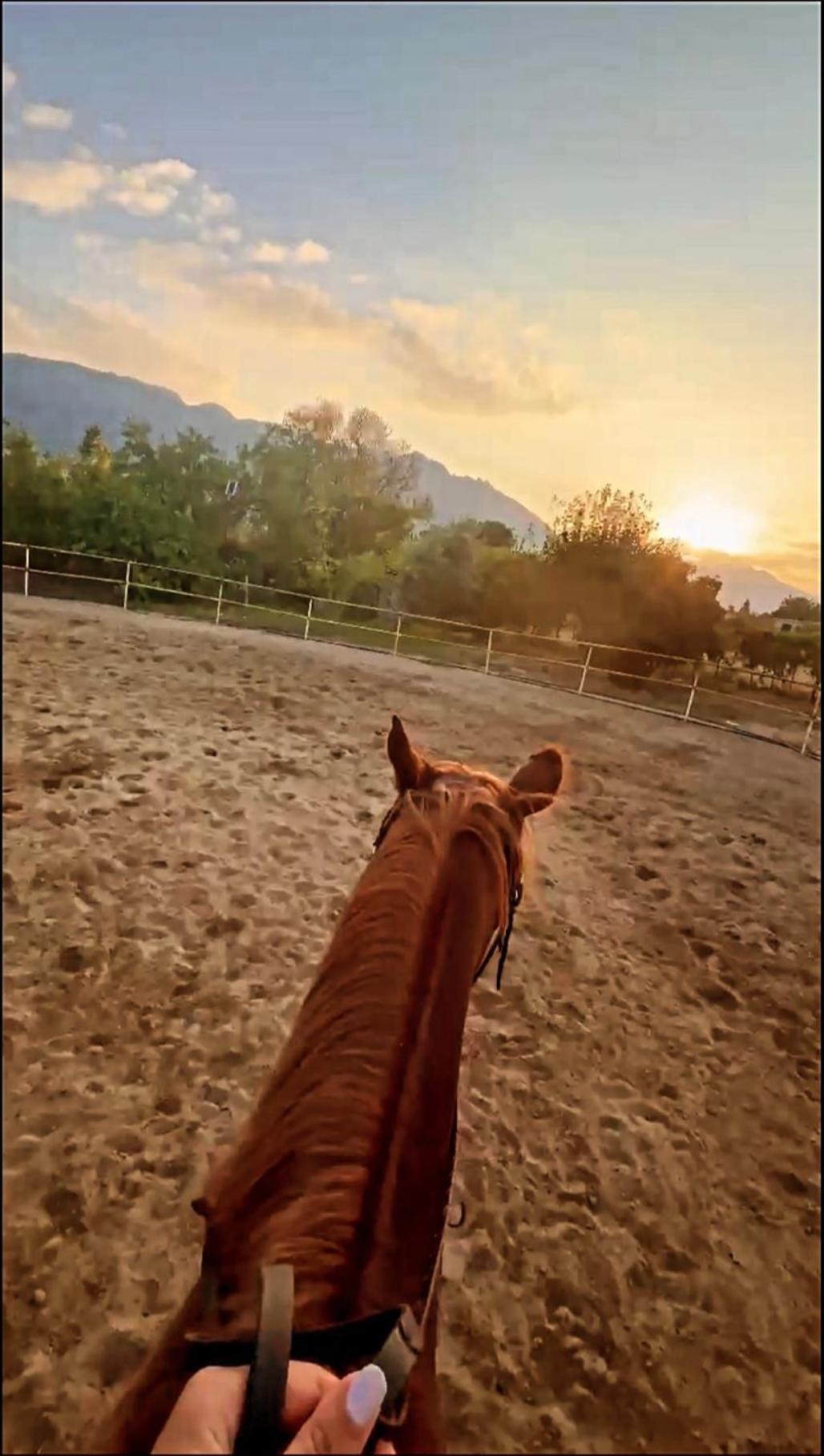 The Horse Farm Hotel Agios Georgios  Екстериор снимка
